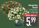 Aktuelles Margeriten Busch Angebot bei E center in Augsburg ab 5,99 €