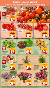 Tomaten im REWE Prospekt "Dein Markt" mit 22 Seiten (Berlin)