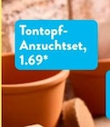 Aktuelles Tontopf-Anzuchtset Angebot bei ALDI SÜD in Erlangen ab 1,69 €