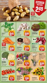 Blumenkohl im REWE Prospekt in Magdeburg Aktueller REWE Prospekt mit Blumenkohl, "Dein Markt", Seite 7