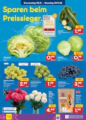 Ähnliche Hortensie Angebote im Prospekt "Aktuelle Angebote" von Netto Marken-Discount in Mühlhausen Ähnliche Angebote wie Hortensie im Prospekt "Aktuelle Angebote" auf Seite 57 von Netto Marken-Discount in Mühlhausen