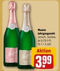 Jahrgangssekt Rose Dry im Angebot bei REWE in Darmstadt Jahrgangssekt Rose Dry Angebote von Mumm bei REWE Darmstadt für 3,99 €