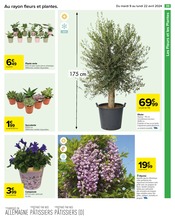 Jardinage Angebote im Prospekt "Carrefour" von Carrefour auf Seite 41