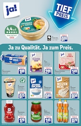 REWE Kochschinken im Prospekt REWE Kochschinken im Prospekt