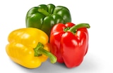 Penny Neuwied - Paprika-Mix Angebot im Prospekt Paprika-Mix bei Penny im Neuwied Prospekt für 1,19 €