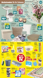 Kerzen Angebot im aktuellen Thomas Philipps Prospekt auf Seite 7