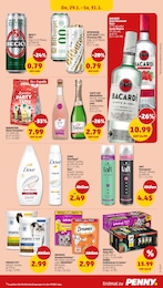 Penny Bier im Prospekt 