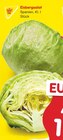 Eisbergsalat Angebote bei Netto Marken-Discount Baden-Baden für 1,00 €