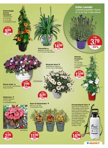 Blumen im V-Markt Prospekt "V-Markt einfach besser einkaufen" mit 25 Seiten (Regensburg)
