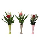 Vase 3 Brins De Muguet + 1 Rose en promo chez Auchan Hypermarché Clichy à 3,49 €