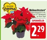 Weihnachtsstern im Angebot bei EDEKA in Landshut Weihnachtsstern Angebote bei EDEKA Landshut für 2,29 €