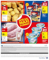 Alimentation Angebote im Prospekt "SPÉCIAL MAXI FORMAT" von Carrefour auf Seite 2