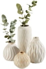 Vase Angebote von Ambia Home bei XXXLutz Möbelhäuser Amberg