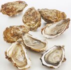 Huître fine de cancale n° 3 - Supermarchés Match à Illkirch-Graffenstaden Huître fine de cancale n° 3 en promo chez Supermarchés Match Illkirch-Graffenstaden à 7,99 €