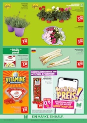Spargel im Marktkauf Prospekt in Leipzig Aktueller Marktkauf Prospekt mit Spargel, "AUSWAHL RIESIG, PREISE NIEDRIG", Seite 11