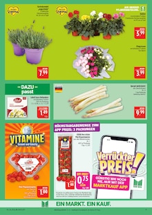 Spargel im aktuellen Marktkauf Prospekt (Leipzig) Spargel im Marktkauf Prospekt "AUSWAHL RIESIG, PREISE NIEDRIG" mit 44 Seiten (Leipzig)