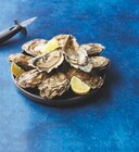 Huitre Fine de Normandie IGP N°3 - U - U Express à Villemomble Huitre Fine de Normandie IGP N°3 - U en promo chez U Express Villemomble à 13,50 €