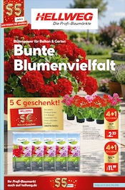 Aktueller Hellweg Prospekt mit Gartenerde, "Bunte Blumenvielfalt", Seite 1