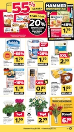 Wagner Angebot & Preis im aktuellen Netto mit dem Scottie Prospekt Wagner Angebot im aktuellen Netto mit dem Scottie Prospekt auf Seite 31