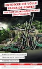 Akku-Kettensäge von Parkside bei Kaufland im Angebot Akku-Kettensäge von Parkside im aktuellen Kaufland Prospekt