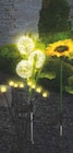 LED Solar Deko im Angebot bei Netto Marken-Discount in Karlsruhe LED Solar Deko Angebote von Living & Garden bei Netto Marken-Discount Karlsruhe für 5,99 €