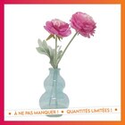 Pivoine dans vase colore à 4,49 € dans le catalogue B&M