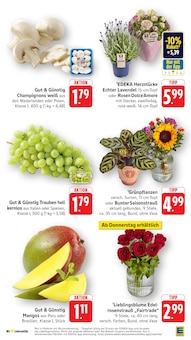 Blumen im EDEKA Prospekt "Aktuelle Angebote" mit 48 Seiten (Mannheim)