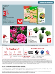 Offre Terreau dans le catalogue Auchan Hypermarché du moment à la page 27