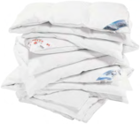 Daunendecke im Angebot bei AWG in Halberstadt Daunendecke Angebote von Bayern bei AWG Halberstadt für 189,99 €