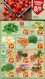 Aktueller REWE Prospekt mit Tomaten, "Dein Markt", Seite 11