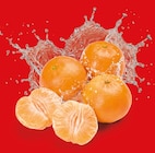 Netto Marken-Discount Alsdorf - Clementinen Angebot im Prospekt Clementinen bei Netto Marken-Discount im Alsdorf Prospekt für 1,89 €