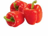Paprika rot bei Netto Marken-Discount im Prospekt "" für 1,45 €