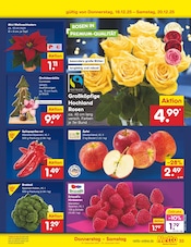 Aktueller Netto Marken-Discount Prospekt mit Paprika, "Aktuelle Angebote", Seite 41