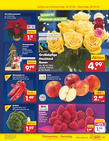 Zimmerpflanzen im aktuellen Netto Marken-Discount Prospekt (Mannheim) Zimmerpflanzen im Netto Marken-Discount Prospekt "Aktuelle Angebote" mit 64 Seiten (Mannheim)