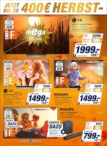 Fernseher im aktuellen expert Prospekt (Cottbus) Fernseher im expert Prospekt "Top Angebote" mit 12 Seiten (Cottbus)