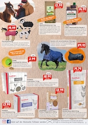 Aktueller Raiffeisen Rhein-Ahr-Eifel Handelsgesellschaft mbH Prospekt mit Spielwaren, "Knallerangebote für Dich und Dein Tier", Seite 3