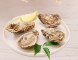 Plateau de la mer avec 4 huitres marennes oleron fines de claires IGP - Hyper U à Périgueux Plateau de la mer avec 4 huitres marennes oleron fines de claires IGP en promo chez Hyper U Périgueux à 10,49 €