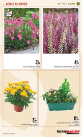 Jardinière Angebote im Prospekt "JARDIN D'AUTOMNE" von Intermarché auf Seite 3
