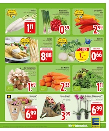 EDEKA Zwiebeln im Prospekt 