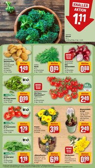 Gemüse im REWE Prospekt "Dein Markt" mit 30 Seiten (Pforzheim)