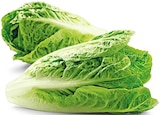 Bio Romana Salatherzen im Angebot bei REWE in Herne Bio Romana Salatherzen Angebote von REWE bei REWE Herne für 1,59 €