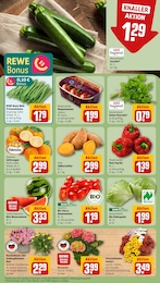 Sträucher Angebot im aktuellen REWE Prospekt auf Seite 5