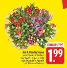 Tulpen Angebote von Gut & Günstig bei EDEKA Freiberg für 1,99 €