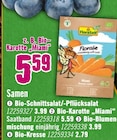 Hornbach Passau - Samen Angebot im Prospekt Samen bei Hornbach im Passau Prospekt für 2,79 €