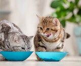 Katzen Nassnahrung im Angebot bei EDEKA in Seevetal Katzen Nassnahrung Angebote von Felix bei EDEKA Seevetal für 3,99 €