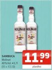 Sambuca Angebote von Molinari bei Getränke Oase Ahlen für 11,99 €