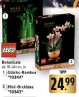 Glücks-Bambus Angebote von LEGO bei EDEKA Pirmasens für 24,99 €