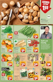 Blumenzwiebeln im REWE Prospekt in Emden Aktueller REWE Prospekt mit Blumenzwiebeln, "Dein Markt", Seite 9