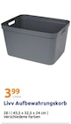Aufbewahrungskorb Angebote von Livv bei Action Lünen für 3,99 €