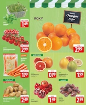 Aktueller famila Nordost Prospekt mit Tomaten, "besser als gut!", Seite 4